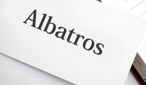 Albatros
