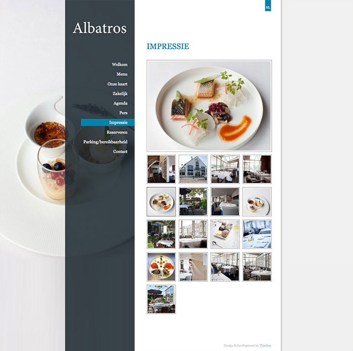Albatros