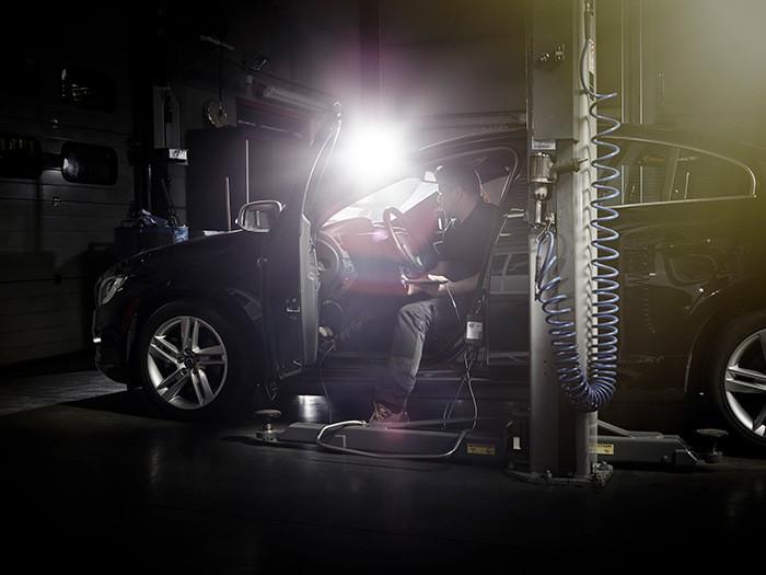 Caryncar